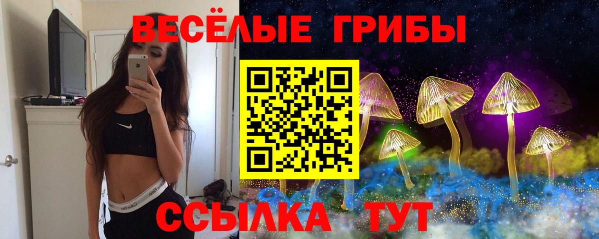 Лангепас  Галлюциногенные грибы Psilocybe  Вход с VPN 